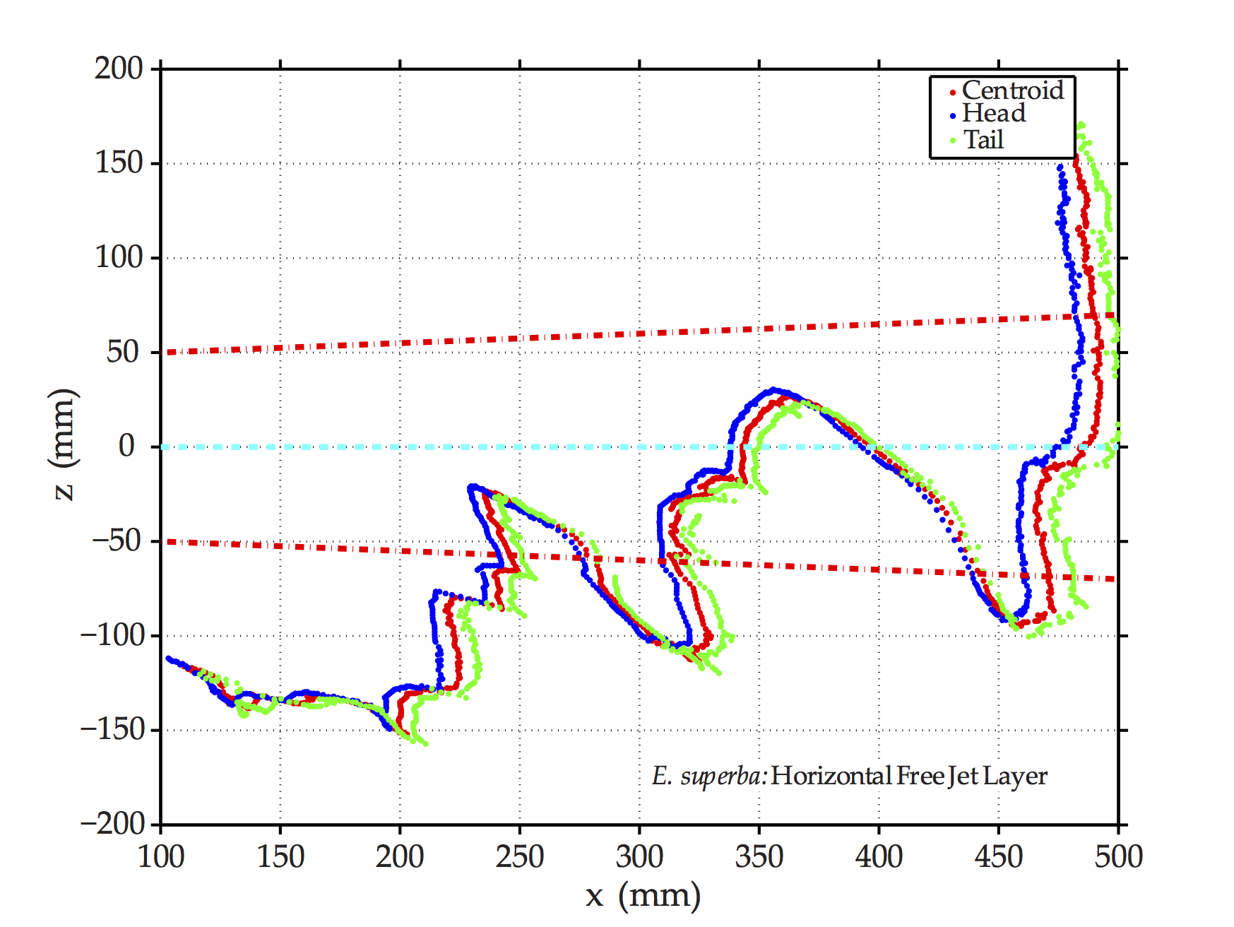 An antarctic krill swimming trajectory in a fluid shear layer